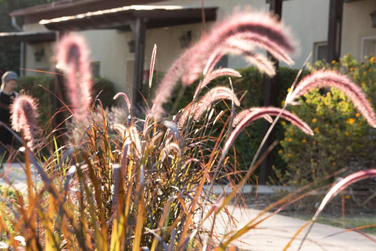 Aparthotel Kibbutz Tiratzvi - Country Lodging Tirat Zevi Zewnętrze zdjęcie